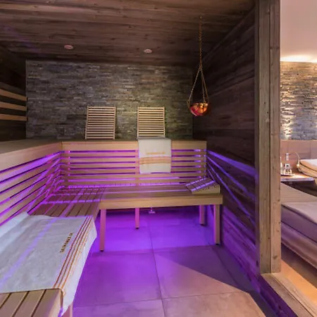 莫妮卡酒店 4* Büttelborn