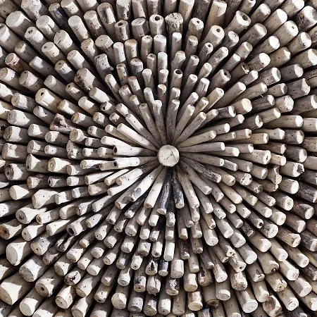 酒店 莫妮卡酒店 4*